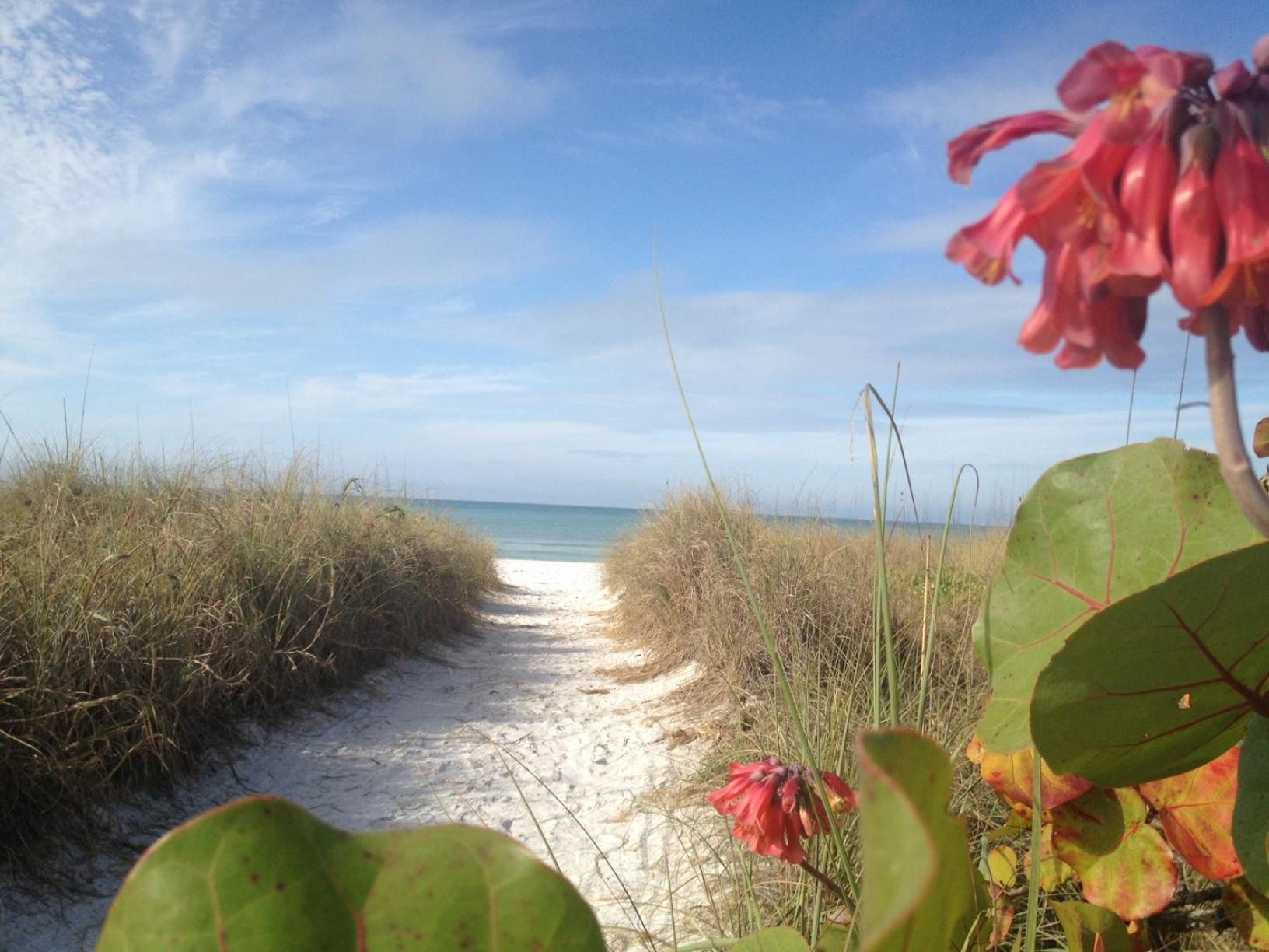 Siesta Key Inn Экстерьер фото